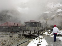 【お題日記】見ちゃいけないもの見ちゃった