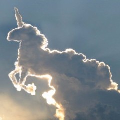 【お題日記】最近こんな奇跡が起きました