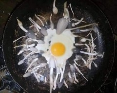 【お題日記】月に何回くらいはHしたい？【加齢とともに・・・】