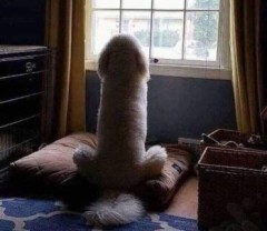 【お題日記】2024年のバレンタインHは？