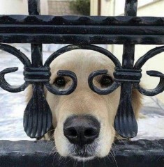 【お題日記】今年のバレンタインデーはどう過ごす？