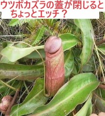 【お題日記】疲れてても誘われたらしちゃう？【身体的疲れなら受けるが二回戦は無し】