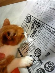 【お題日記】マッサージであれ触られた？って事ある？【裏だから個室マッサージとか？