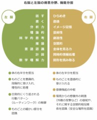 【お題日記】あなたは右脳派？左脳派？【完全に右脳派ですね】