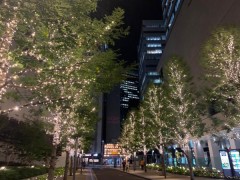 【お題日記】クリスマスにぴったりのデートスポットは？【とりあえずイルミネーション