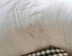 【お題日記】H終了直後、密かにやってること【密かな事をここで暴露？】