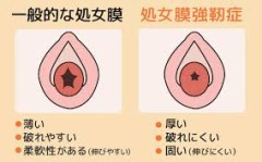 【お題日記】ヤリ●ンと未経験どっちがいい？【処女性を求める古い考えは無いな】