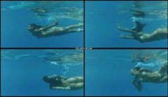 【お題日記】映画等で観た一番熱かったHなシーン【青いサンゴ礁・パラダイス】
