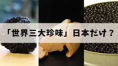 【お題日記】世界三大珍味食べた事あります【一応有るが味が解るほどは食べてない】