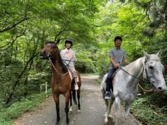 【お題日記】背中に乗った事のある動物【乗馬は習いましたからね】