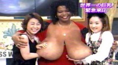 【お題日記】むっちりとぽっちゃりの違い【どちらもデブと言うのは失礼な言い回し？】