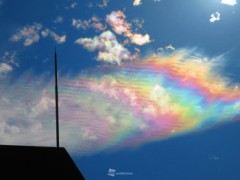 【お題日記】意外と楽しい一人●●【意外とと有るので普通に楽しい事じゃ無く】