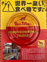 【お題日記】苦手な果物【多分ドリアンって答えが多いと思われるがドライドリアンは良