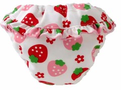 【お題日記】好きないちごの品種は何？【多い品種全て食べ比べしたこと無いし知らない