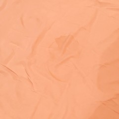 【お題日記】電車でいろいろ始まっちゃった人を見ました