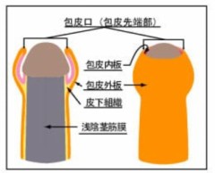 【お題日記】カラダの相性ってどれぐらい大事？