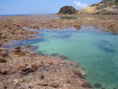 明日の前の日。