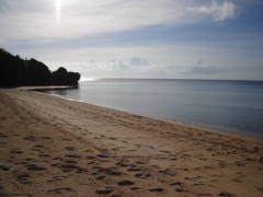 愛を送るから・・