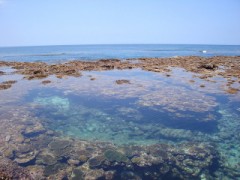 こないだのデート。