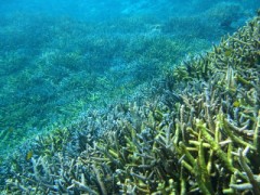 あなたがわたしにくれたもの。