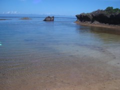 身体のコンディション。