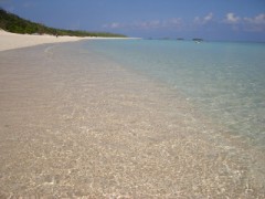 あと一ヶ月・・