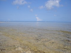 世界は回っている