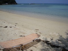 デビューはまだ・・