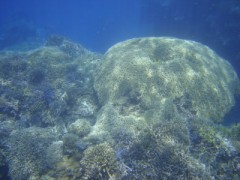 多分梅雨明け・・