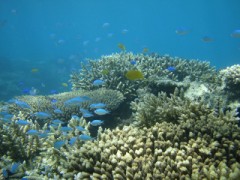 爽快だった海！