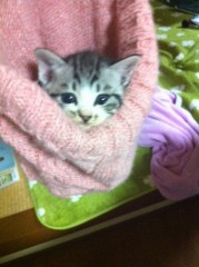 ユカの家族(#^.^#)