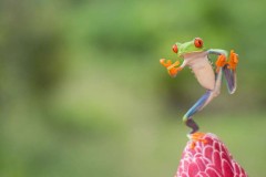 【お題日記】カタいのがいい？やわらかいのがいい？　^^　へへ…　意味を考えたら…