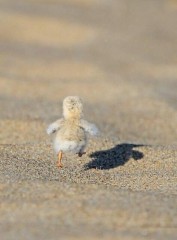 【お題日記】わたしの居心地のいい場所　少し考えました…　ツンデレ女子がモテる理由