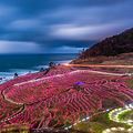 世界の名所　「白米千枚田のライトアップ｣　石川,　 輪島市　　　☆ご覧ください☆