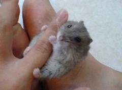 メールをくださった方へ❦　お読みください