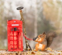 古い固定電話は２０２４年初旬に廃止…　それで