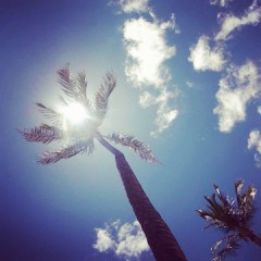 セッケンをひと月使わないとどうなる？