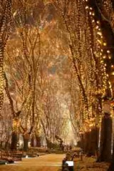 ついに始まったね