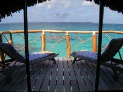 ■夏がぁ～＞＜■