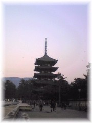 ★奈良の紹介になっちゃった★