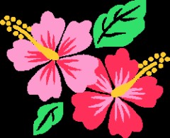 ■また鏡割っちゃった■