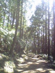 ◇久々の更新◇