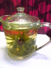 ♪久々のＯＦＦ♪