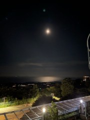 【お題日記】レンタルバイクや自転車使ったことある？