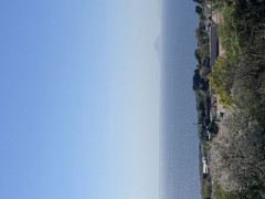 【お題日記】家で1番ホッとできる場所は？