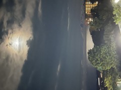 【お題日記】セルフレジ使う？