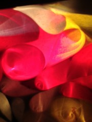 あらゆるフランス音楽をかける。