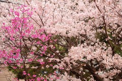 【お題日記】こういうメールやLINEは返信しづらい！