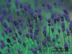 今は実習中です。