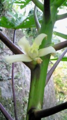 ちょっと聞いて2キロやせたってば。